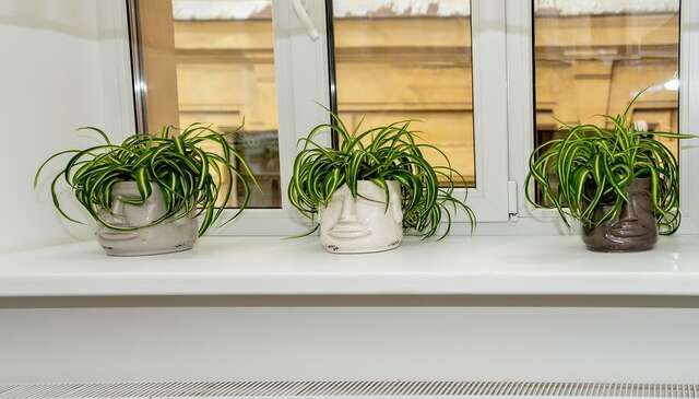 Гостиница Саквояж Санкт-Петербург-36